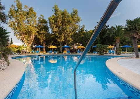 Day, Pool view, Swimming pool