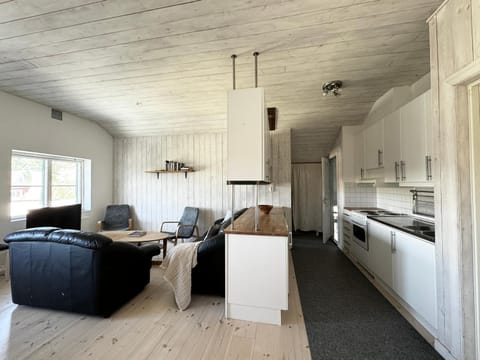 Kitchen or kitchenette, Living room, Dining area, stove
