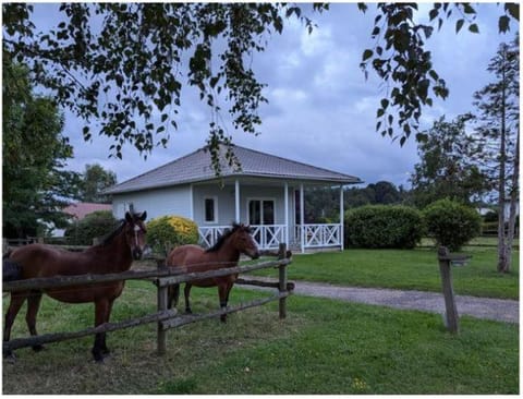 Domaine Saône-Valley Chalet in Switzerland