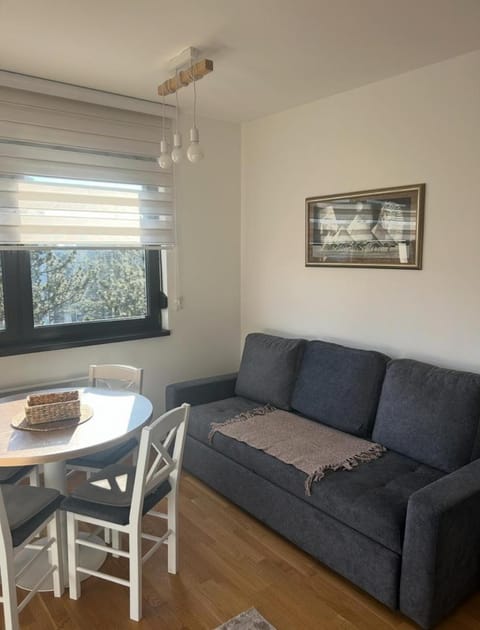 Ivor 25 Apartment in Zlatibor