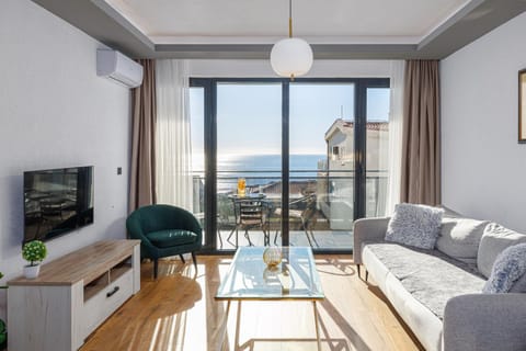 Natural landscape, TV and multimedia, View (from property/room), Balcony/Terrace, Living room, air conditioner