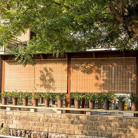 Property building, Spring, Day, Garden, Garden view