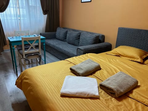 Berki home Apartment in Timiș County