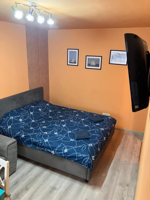 Berki home Apartment in Timiș County