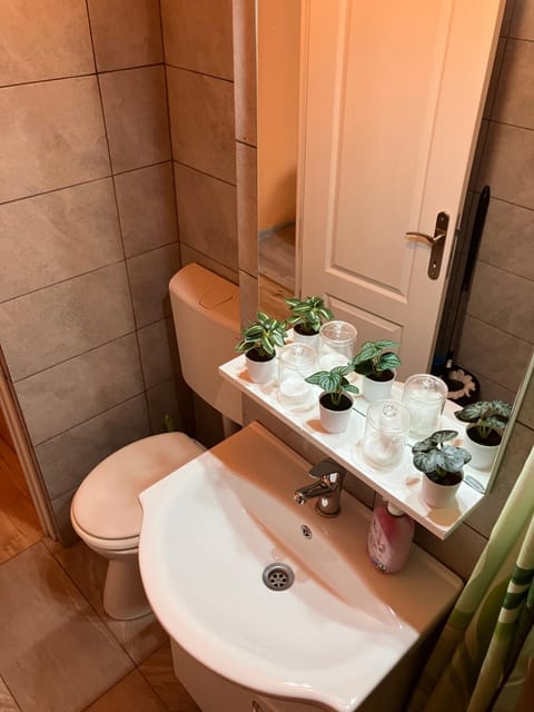 Berki home Apartment in Timiș County