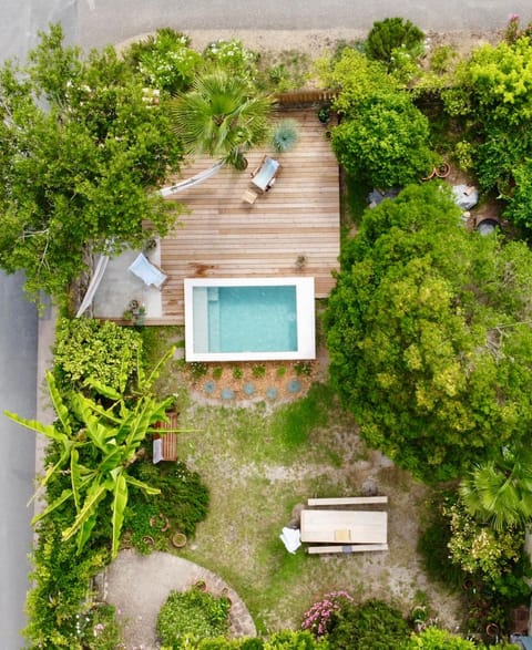 Bird's eye view, Garden view