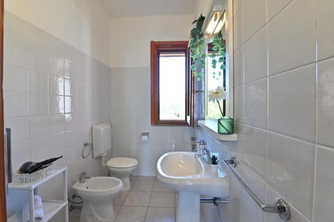 Shower, Toilet, Bathroom, bidet