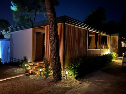 Night, Garden, Garden view