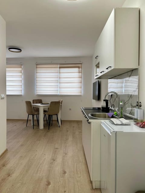 Kitchen or kitchenette, Dining area, oven, stove