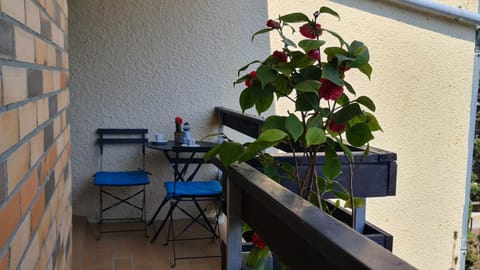 Patio, View (from property/room), Balcony/Terrace, Dining area