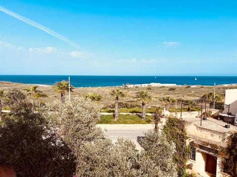 Natural landscape, Sea view, Supermarket/grocery shop
