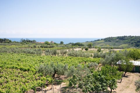 Day, Natural landscape, Sea view