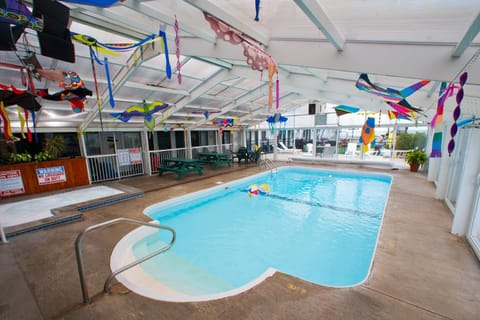 Swimming pool, Swimming pool