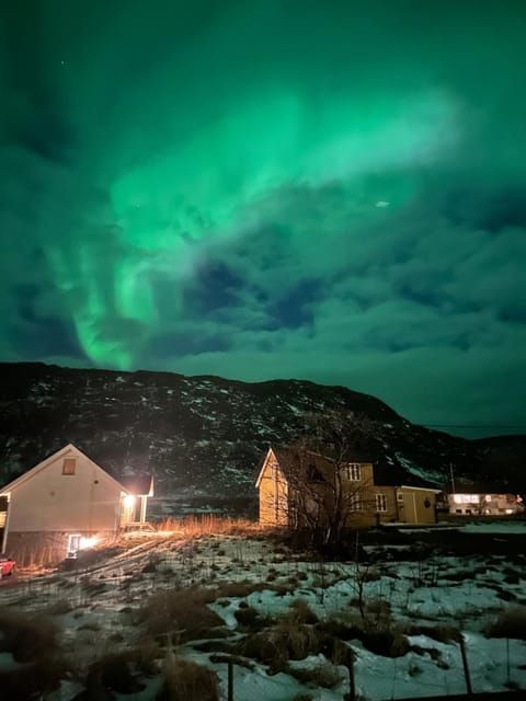 Northern Dream Lofoten Apartment in Lofoten