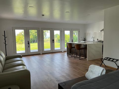 Living room, kitchen