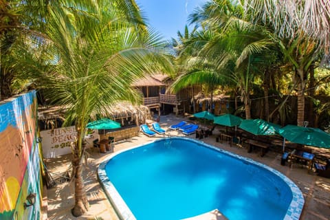 Day, Garden, Garden view, Pool view, Swimming pool, sunbed