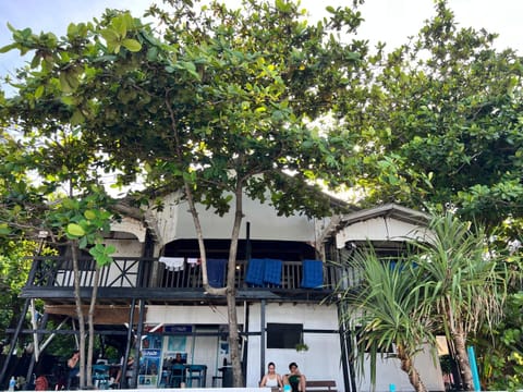Property building, Day