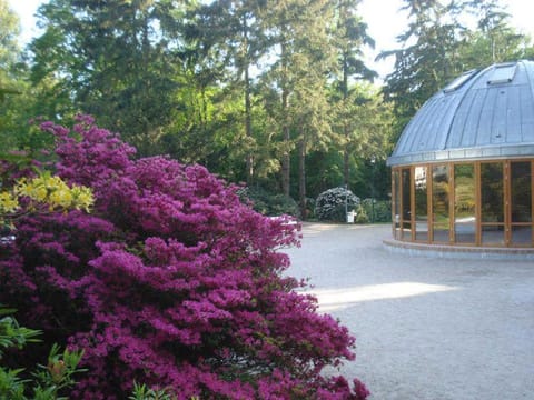 Fewo Neptun im Erdgeschoss - nahe dem Rathaus Apartment in Müritz
