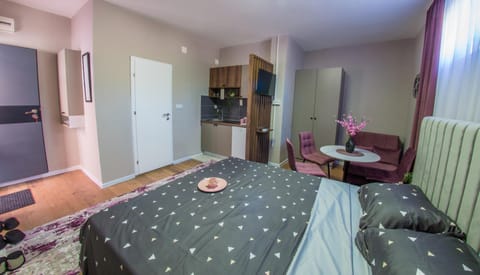 Bed, TV and multimedia, Kitchen or kitchenette, Photo of the whole room, Seating area, Dining area, Bedroom, wardrobe