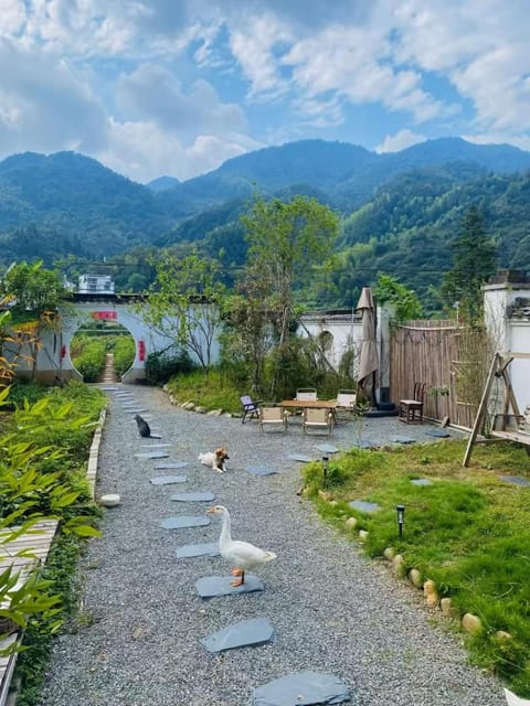 Garden, Garden view, Mountain view