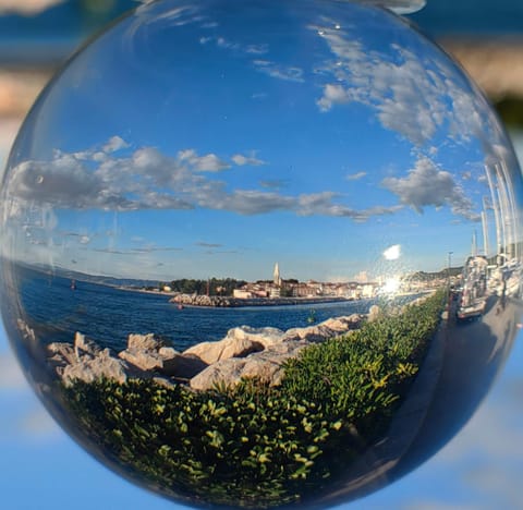 Studio Apartment Moro 2 Apartment in Piran