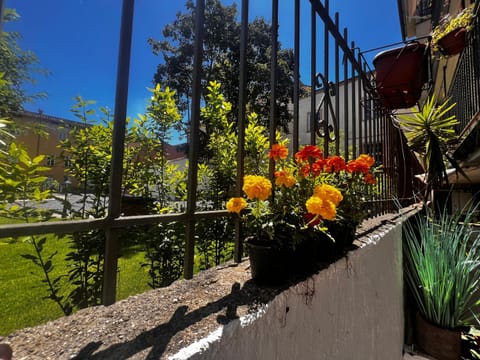 Casa in Pelleria Apartment in Capannori