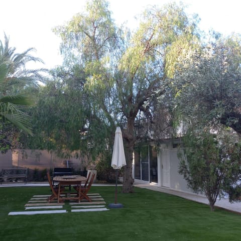 Patio, Garden