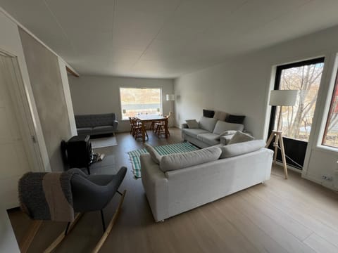 Living room, fireplace