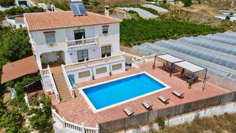 Bird's eye view, Swimming pool