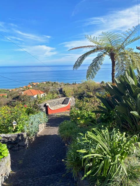 Garden, Sea view