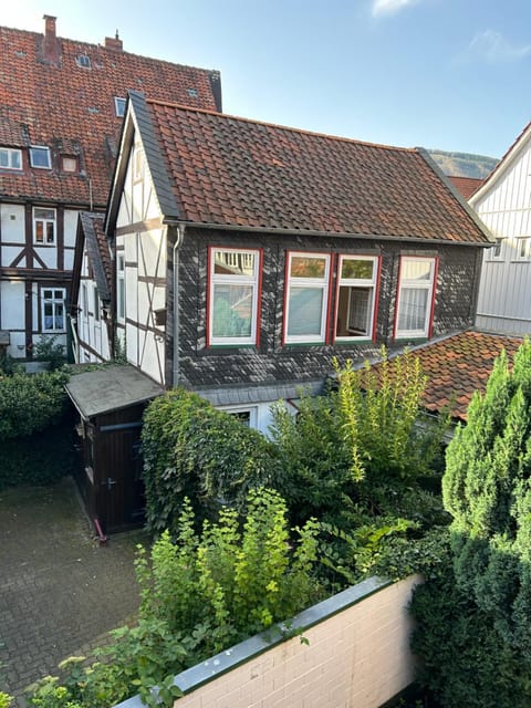 Property building, Day, Garden view