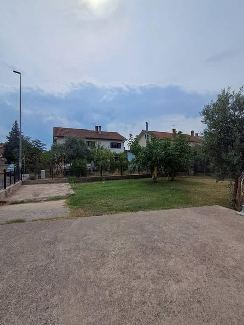 Garden, Garden view, Inner courtyard view