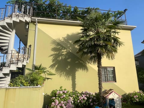 Property building, Garden