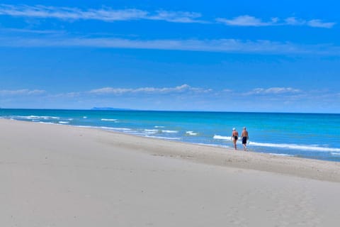 Nearby landmark, Beach
