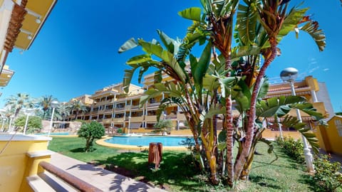 Day, Garden, Garden, Garden view, Pool view, Swimming pool