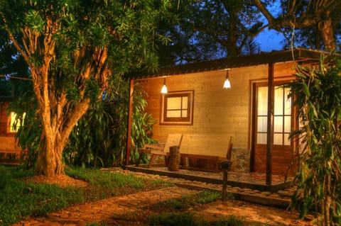 Property building, Patio, Night, Garden view