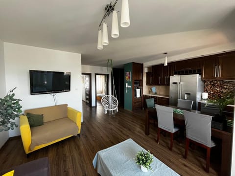 Communal lounge/ TV room, TV and multimedia, Kitchen or kitchenette, Living room, Seating area, Dining area, Evening entertainment, oven, stove