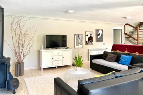 Villa Carmen Villa in Marbella