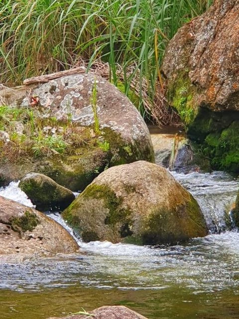Paraíso na Serra pra Relaxar House in State of Rio de Janeiro