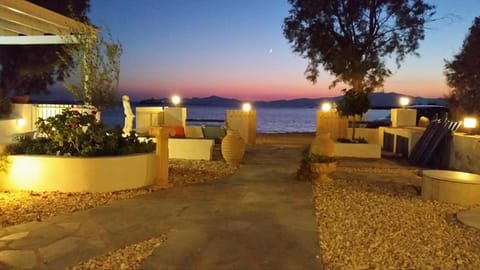Night, Garden, Sea view, Sunset