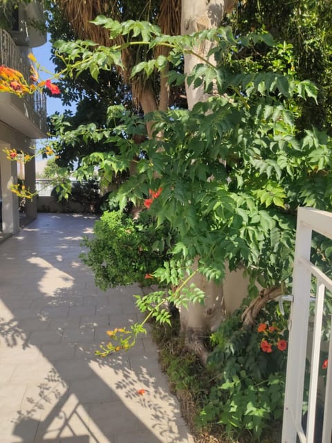 Domus Meus Apartment in Heraklion