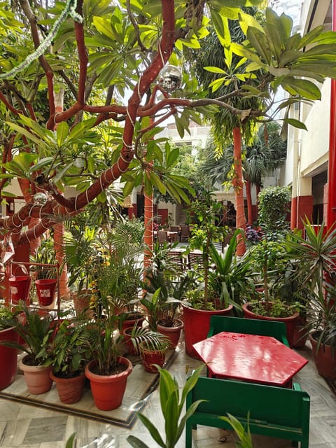 Restaurant/places to eat, Day, Garden, Garden view