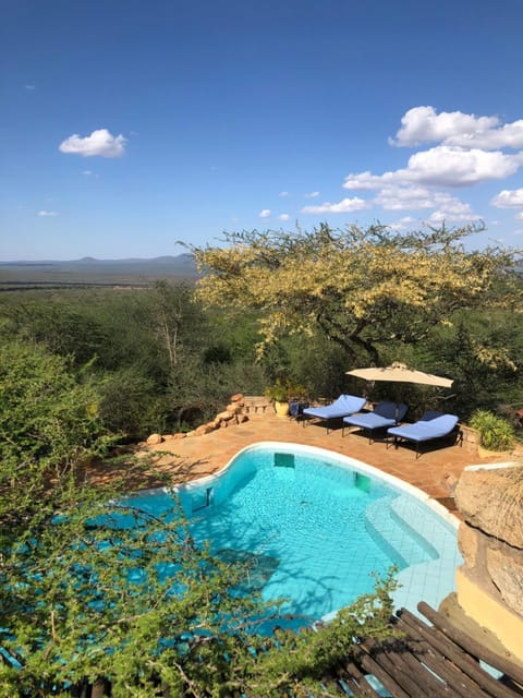 Swimming pool, sunbed