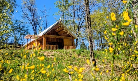 Natural landscape