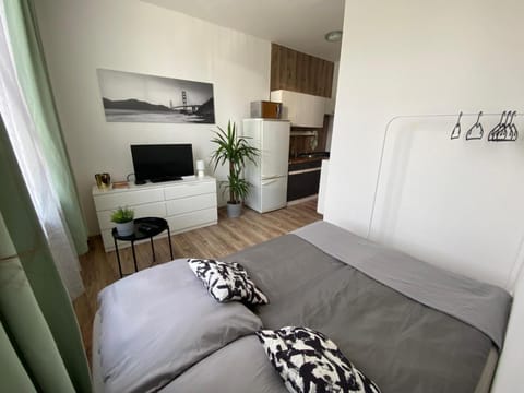 Kitchen or kitchenette, Bedroom