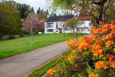 Spring, Garden