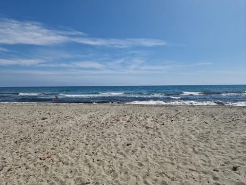 Neighbourhood, Beach