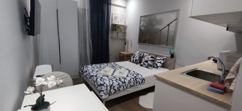 Bed, TV and multimedia, Kitchen or kitchenette, Photo of the whole room, Bedroom, towels