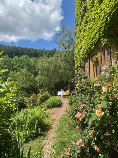 Patio, Spring, Day, Natural landscape, Garden, Garden, Garden view, Mountain view