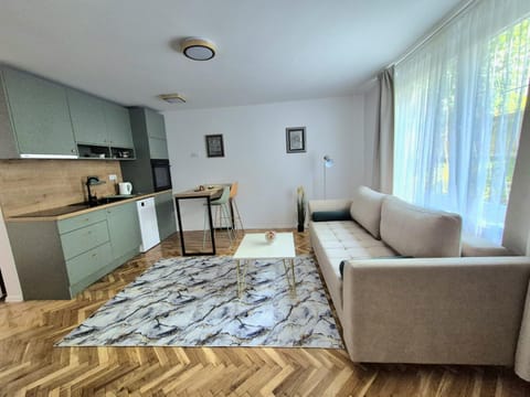 Kitchen or kitchenette, Living room, Seating area, Dining area, minibar, stove